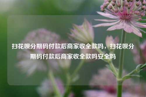 扫花呗分期码付款后商家收全款吗，扫花呗分期码付款后商家收全款吗安全吗
