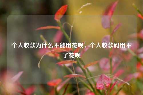 个人收款为什么不能用花呗，个人收款码用不了花呗