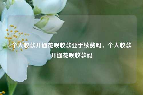 个人收款开通花呗收款要手续费吗，个人收款开通花呗收款码