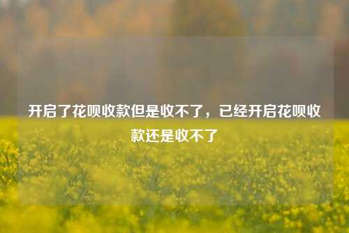 开启了花呗收款但是收不了，已经开启花呗收款还是收不了