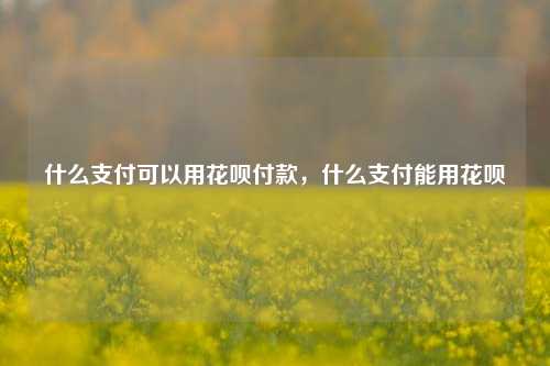 什么支付可以用花呗付款，什么支付能用花呗