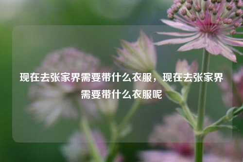 现在去张家界需要带什么衣服，现在去张家界需要带什么衣服呢