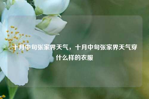 十月中旬张家界天气，十月中旬张家界天气穿什么样的衣服