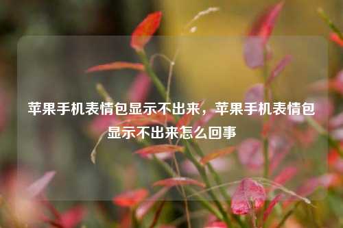 苹果手机表情包显示不出来，苹果手机表情包显示不出来怎么回事
