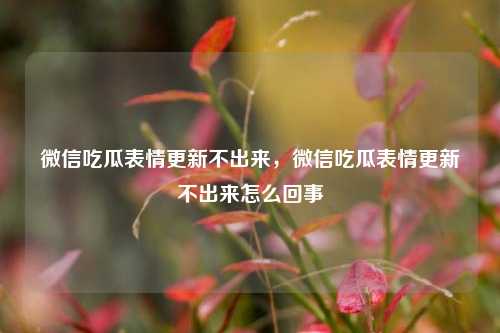 微信吃瓜表情更新不出来，微信吃瓜表情更新不出来怎么回事