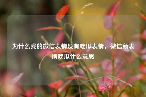 为什么我的微信表情没有吃瓜表情，微信新表情吃瓜什么意思