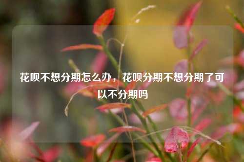 花呗不想分期怎么办，花呗分期不想分期了可以不分期吗