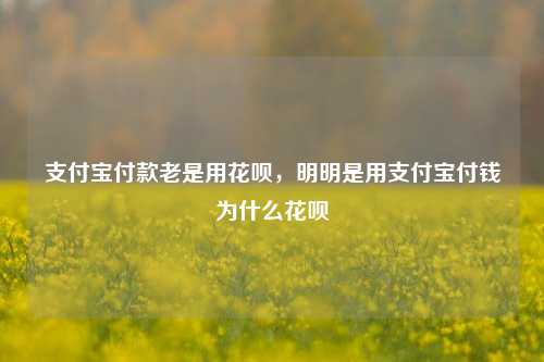 支付宝付款老是用花呗，明明是用支付宝付钱为什么花呗