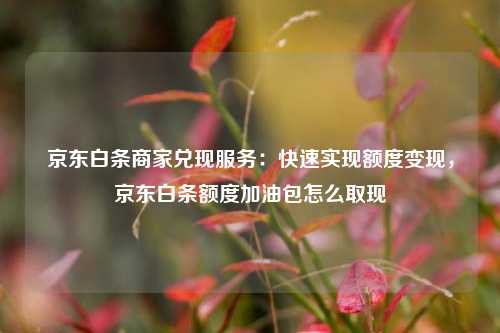 京东白条商家兑现服务：快速实现额度变现，京东白条额度加油包怎么取现