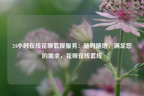 24小时在线花呗套现服务：随时随地，满足您的需求，花呗在线套线