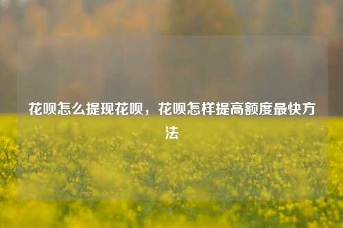 花呗怎么提现花呗，花呗怎样提高额度最快方法