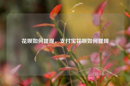 花呗如何提现，支付宝花呗如何提现
