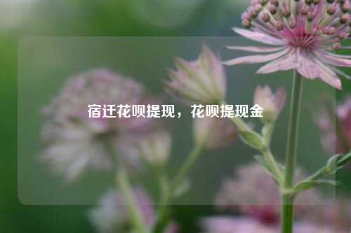 宿迁花呗提现，花呗提现金