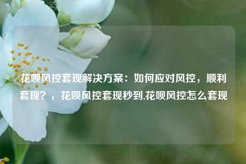 花呗风控套现解决方案：如何应对风控，顺利套现？，花呗风控套现秒到,花呗风控怎么套现
