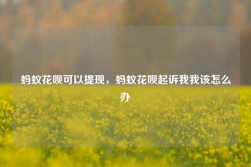 蚂蚁花呗可以提现，蚂蚁花呗起诉我我该怎么办