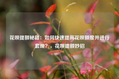花呗提额秘籍：如何快速提高花呗额度并进行套现？，花呗提额妙招