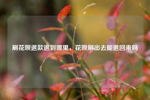 刷花呗退款退到哪里，花呗刷出去能退回来吗