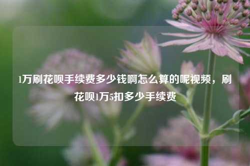 1万刷花呗手续费多少钱啊怎么算的呢视频，刷花呗1万5扣多少手续费