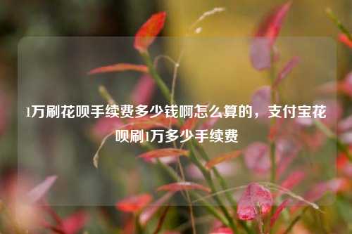 1万刷花呗手续费多少钱啊怎么算的，支付宝花呗刷1万多少手续费