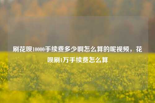刷花呗10000手续费多少啊怎么算的呢视频，花呗刷1万手续费怎么算