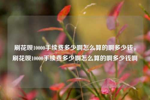 刷花呗10000手续费多少啊怎么算的啊多少钱，刷花呗10000手续费多少啊怎么算的啊多少钱啊
