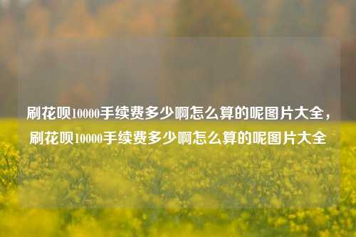 刷花呗10000手续费多少啊怎么算的呢图片大全，刷花呗10000手续费多少啊怎么算的呢图片大全