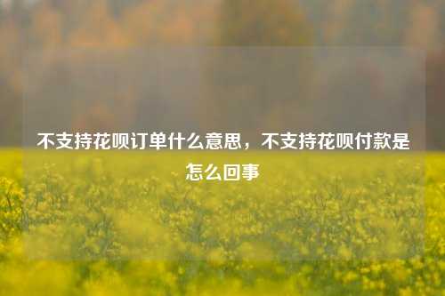 不支持花呗订单什么意思，不支持花呗付款是怎么回事