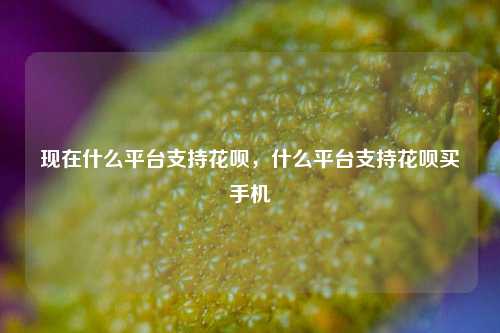 现在什么平台支持花呗，什么平台支持花呗买手机