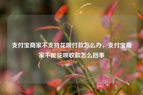 支付宝商家不支持花呗付款怎么办，支付宝商家不能花呗收款怎么回事