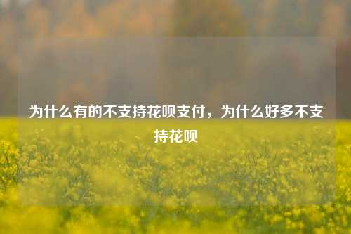 为什么有的不支持花呗支付，为什么好多不支持花呗