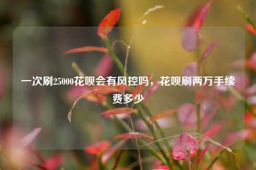 一次刷25000花呗会有风控吗，花呗刷两万手续费多少