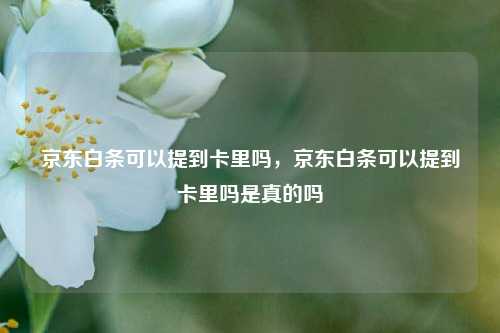 京东白条可以提到卡里吗，京东白条可以提到卡里吗是真的吗