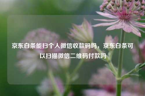 京东白条能扫个人微信收款码吗，京东白条可以扫描微信二维码付款吗