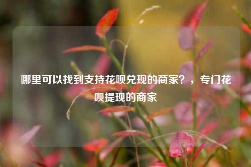 哪里可以找到支持花呗兑现的商家？，专门花呗提现的商家
