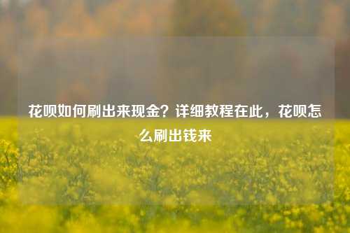花呗如何刷出来现金？详细教程在此，花呗怎么刷出钱来