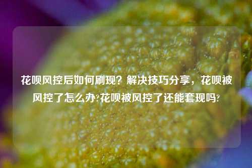 花呗风控后如何刷现？解决技巧分享，花呗被风控了怎么办?花呗被风控了还能套现吗?