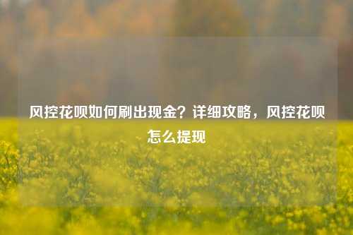 风控花呗如何刷出现金？详细攻略，风控花呗怎么提现