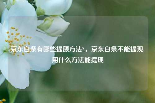 京东白条有哪些提额方法?，京东白条不能提现,用什么方法能提现