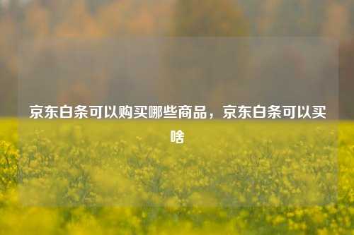 京东白条可以购买哪些商品，京东白条可以买啥