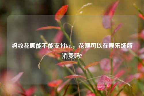 蚂蚁花呗能不能支付ktv，花呗可以在娱乐场所消费吗?