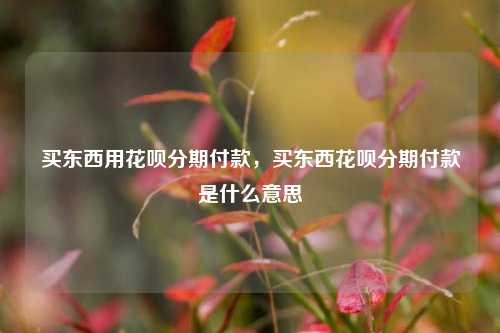 买东西用花呗分期付款，买东西花呗分期付款是什么意思