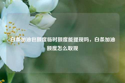 白条加油包额度临时额度能提现吗，白条加油额度怎么取现