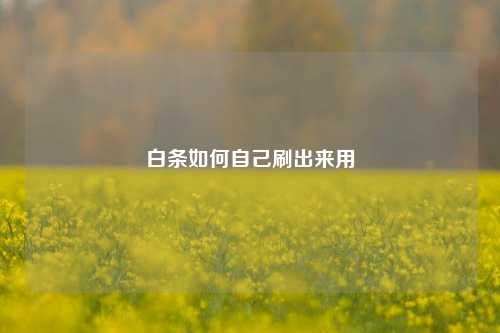白条如何自己刷出来用