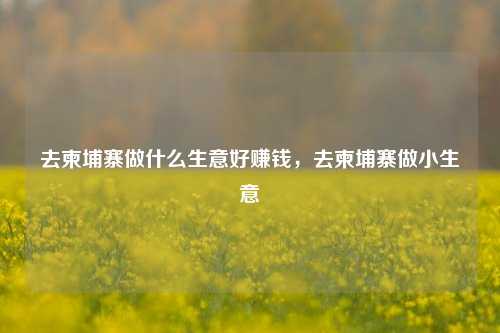 去柬埔寨做什么生意好赚钱，去柬埔寨做小生意