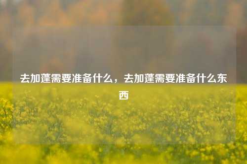 去加蓬需要准备什么，去加蓬需要准备什么东西
