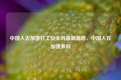 中国人去加蓬打工安全吗最新消息，中国人在加蓬多吗
