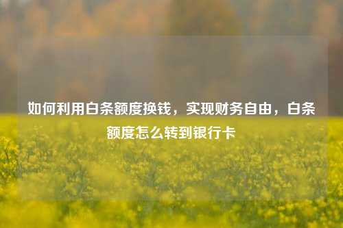 如何利用白条额度换钱，实现财务自由，白条额度怎么转到银行卡