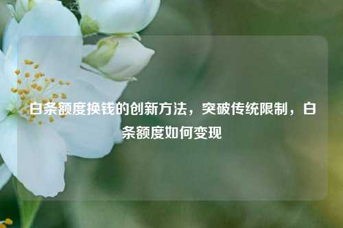 白条额度换钱的创新方法，突破传统限制，白条额度如何变现