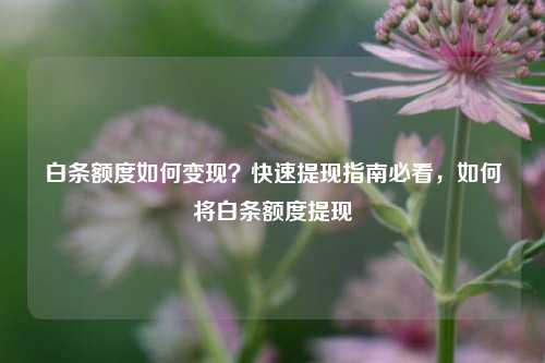 白条额度如何变现？快速提现指南必看，如何将白条额度提现