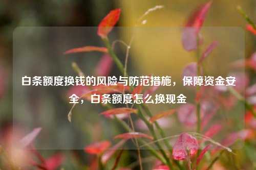 白条额度换钱的风险与防范措施，保障资金安全，白条额度怎么换现金